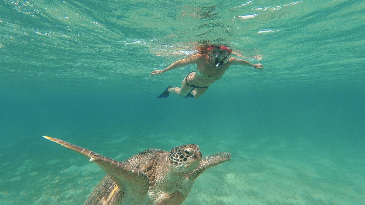 Snorkeling Exploration